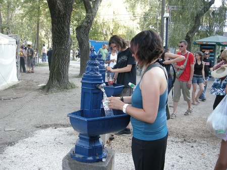 sziget 2008